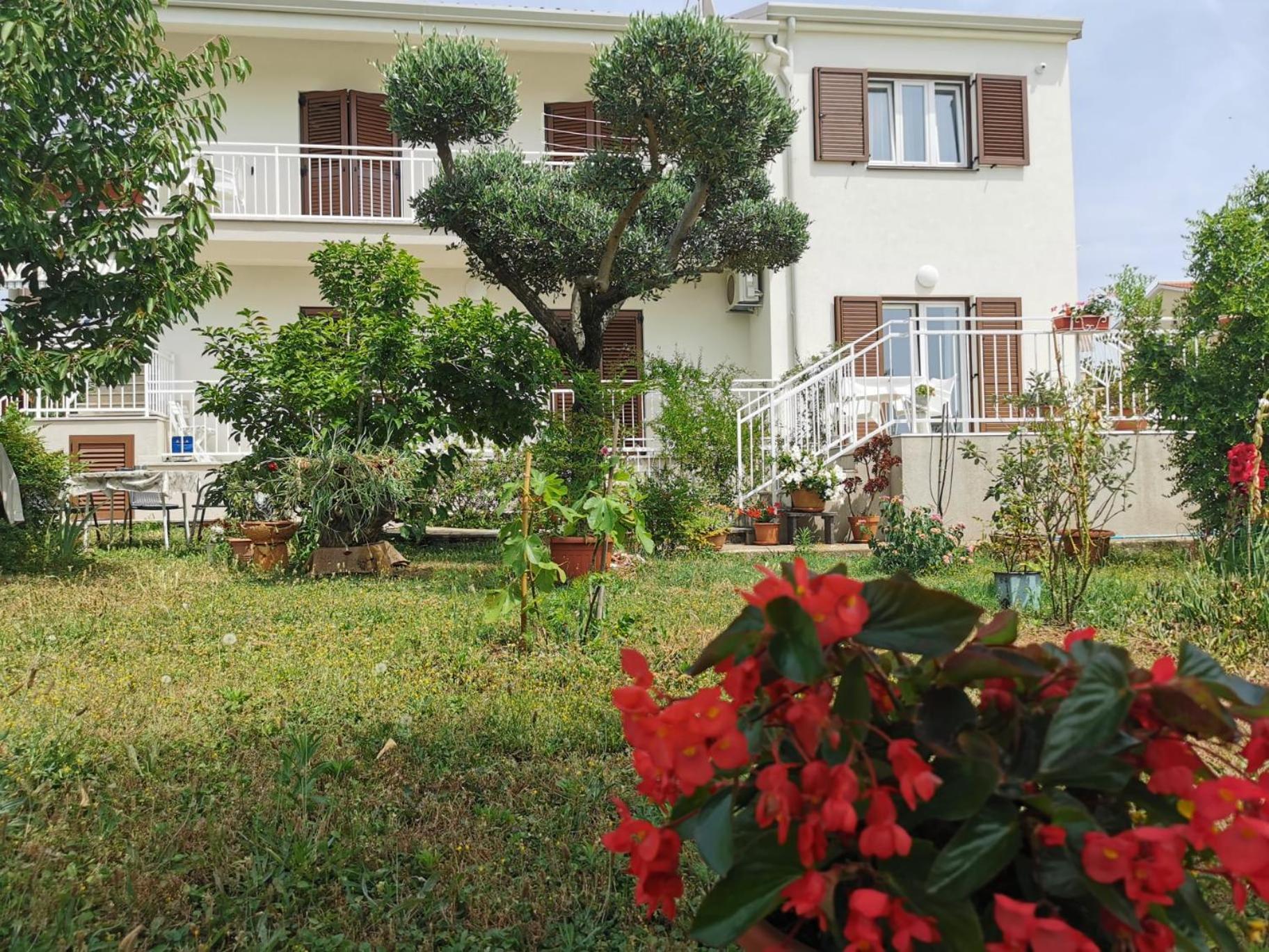 Residence Pical Poreč Exterior foto