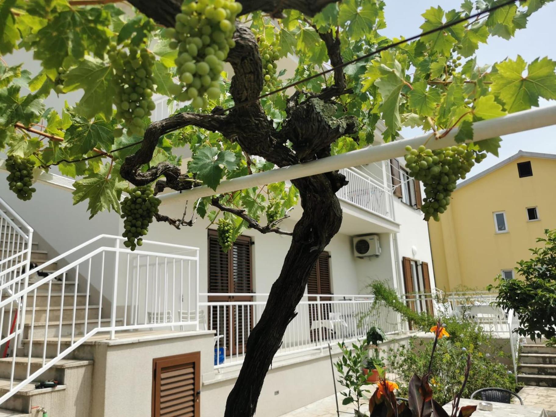 Residence Pical Poreč Exterior foto